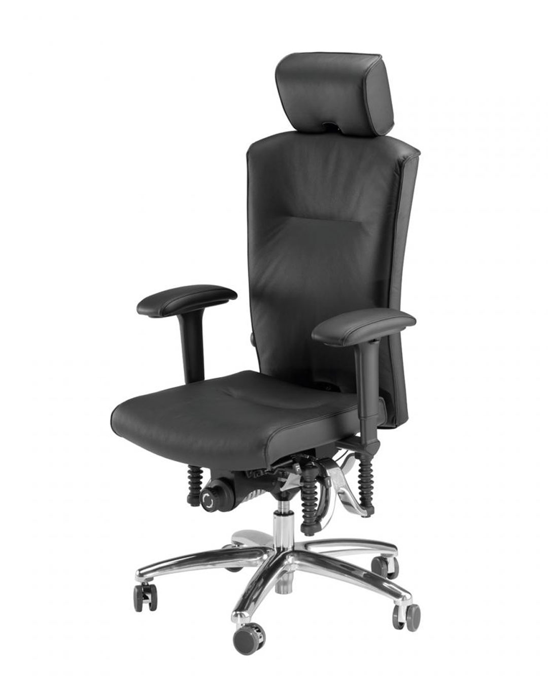 Bioswing 560
